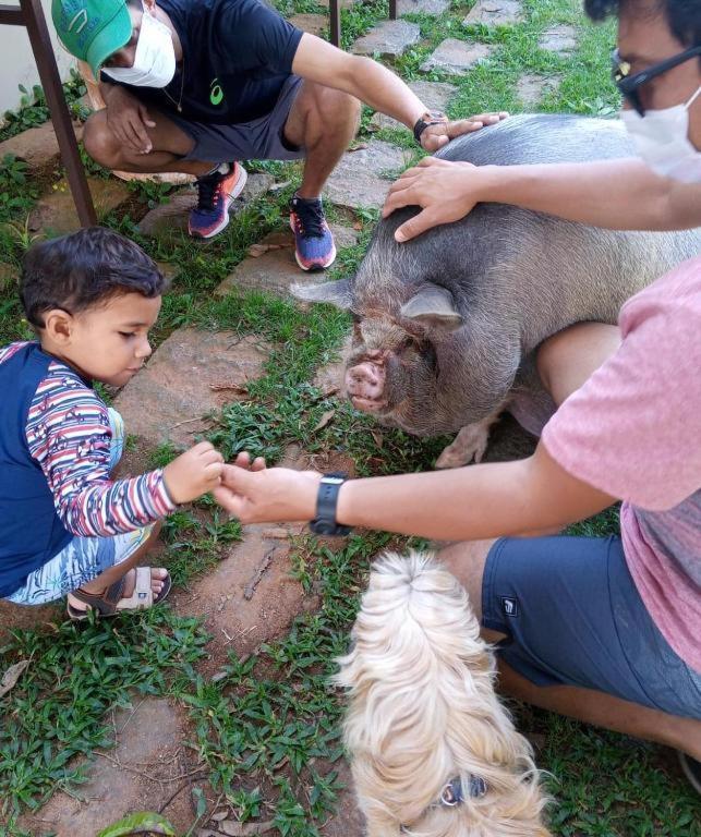 Aldeia Parque Pousada Rural São Roque المظهر الخارجي الصورة