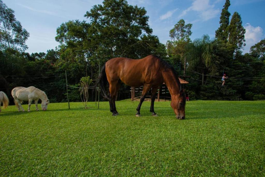 Aldeia Parque Pousada Rural São Roque المظهر الخارجي الصورة