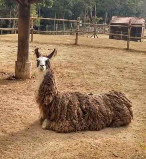 Aldeia Parque Pousada Rural São Roque المظهر الخارجي الصورة