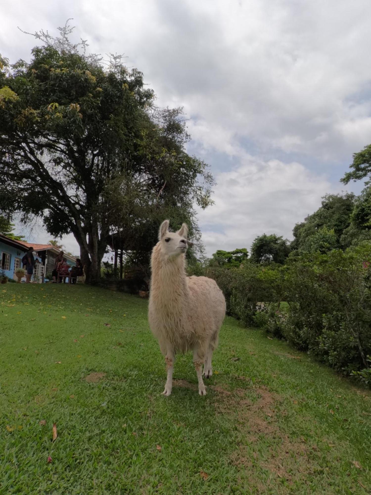Aldeia Parque Pousada Rural São Roque المظهر الخارجي الصورة