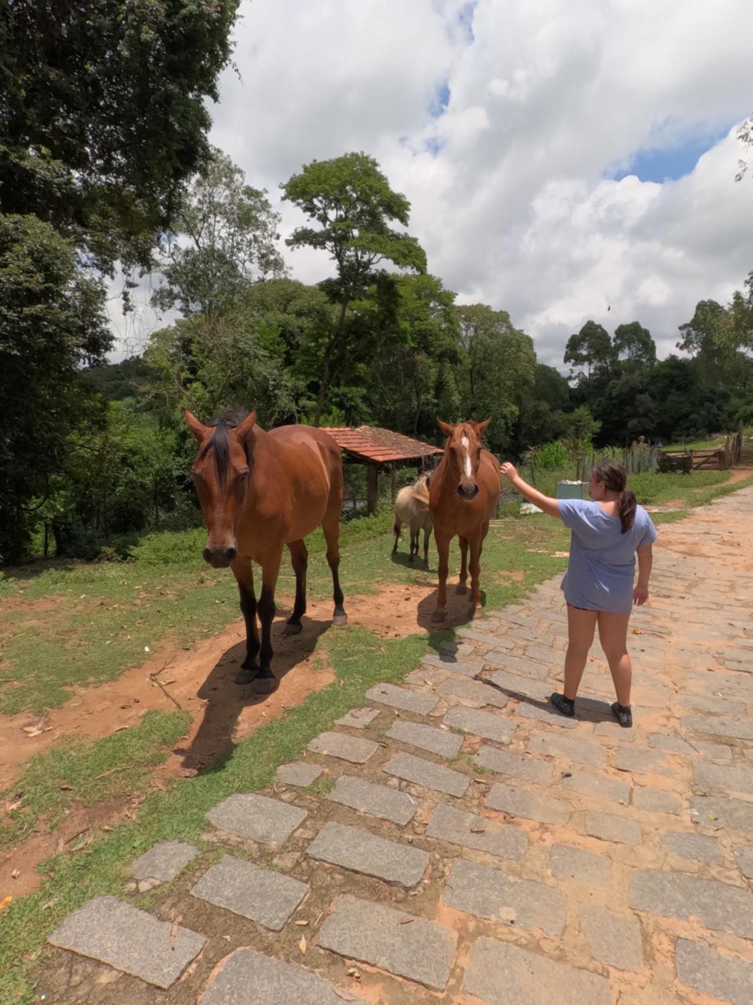Aldeia Parque Pousada Rural São Roque المظهر الخارجي الصورة